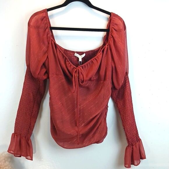 WAYF cinnamon chiffon ruched long puff sleeve top coquette girl sz L - Picture 2 of 11